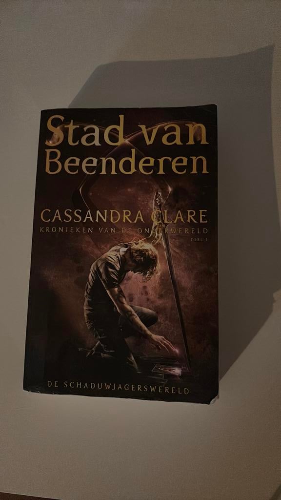 Stad van beenderen, Boeken, Ophalen of Verzenden, Zo goed als nieuw