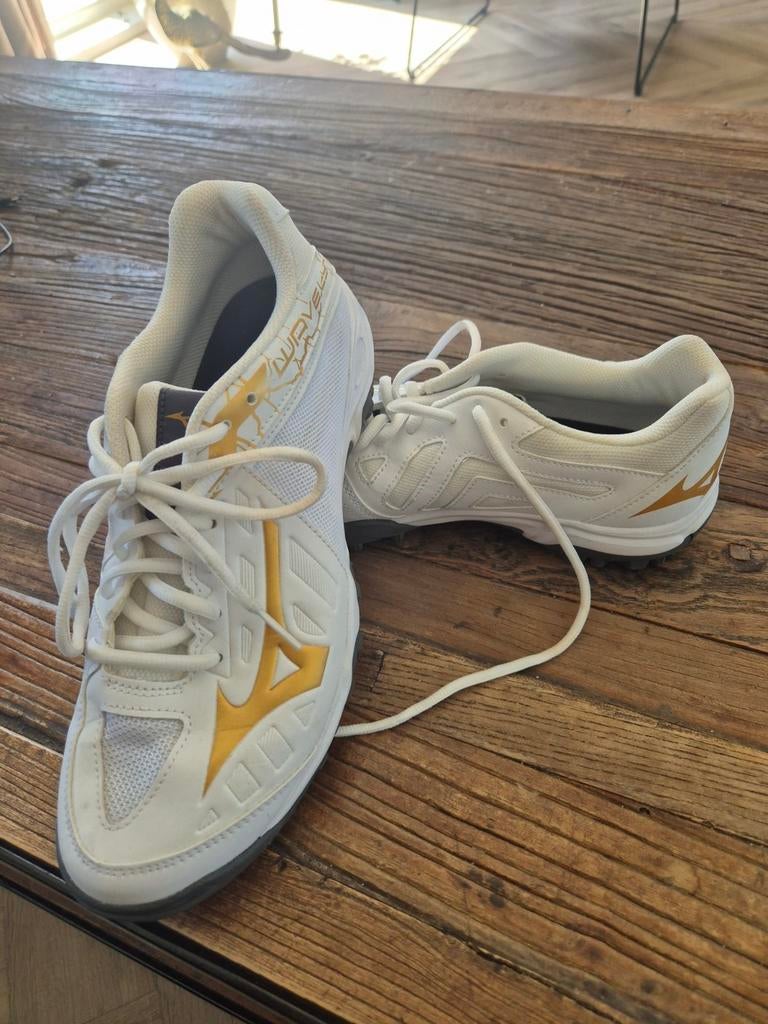 Mizuno hockey  korfbal schoenen maat 42, Ophalen of Verzenden, Nieuw, Schoenen