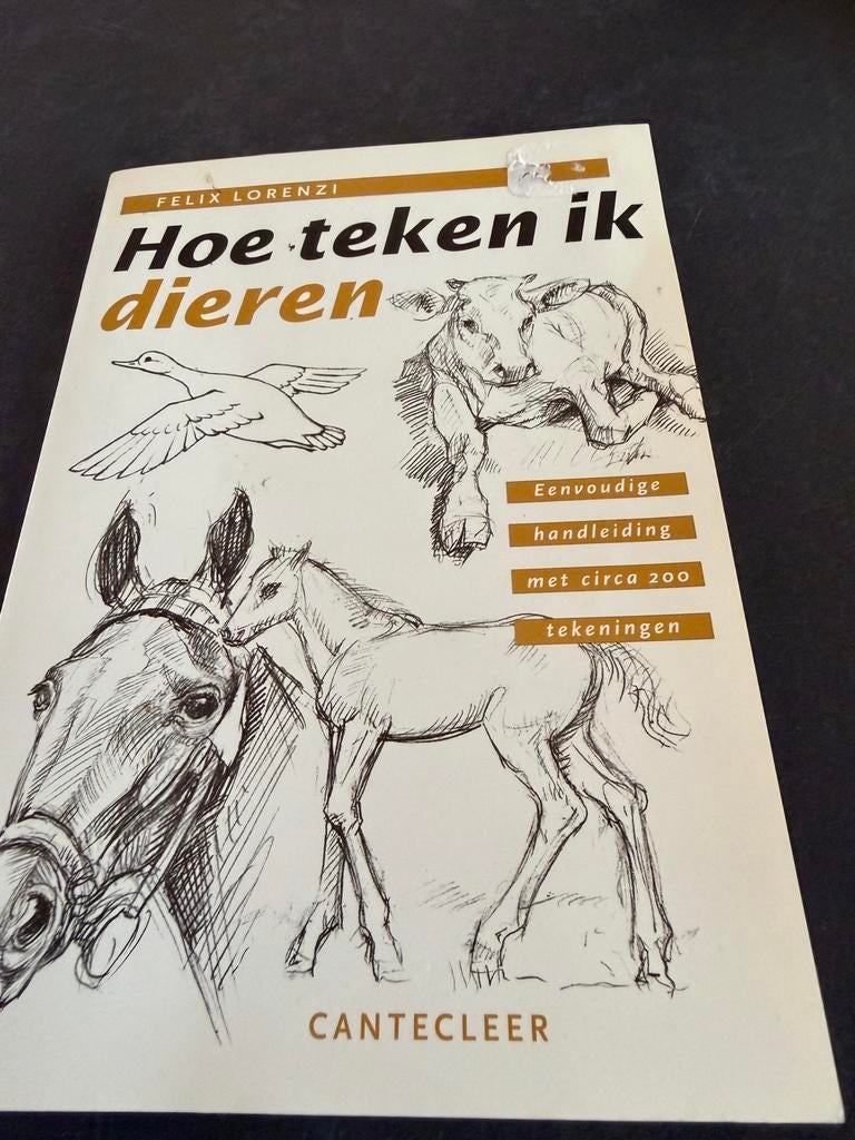 Hoe teken ik dieren - Felix Lorenzi, Ophalen of Verzenden, Gelezen, Tekenen en Schilderen