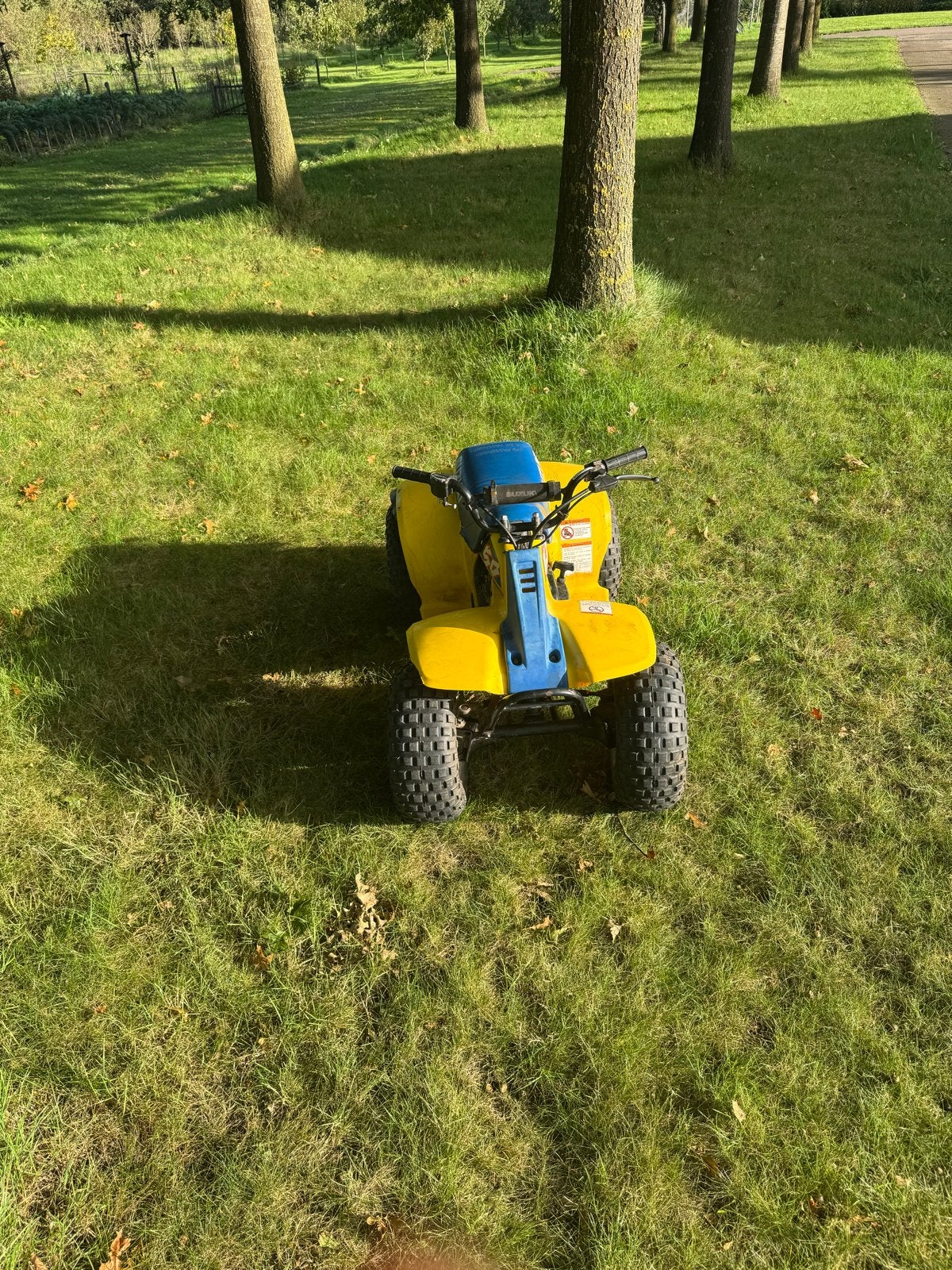 Suzuki Quad LT  - Geel/Blauw -, 1 cilinder, 11 kW of minder