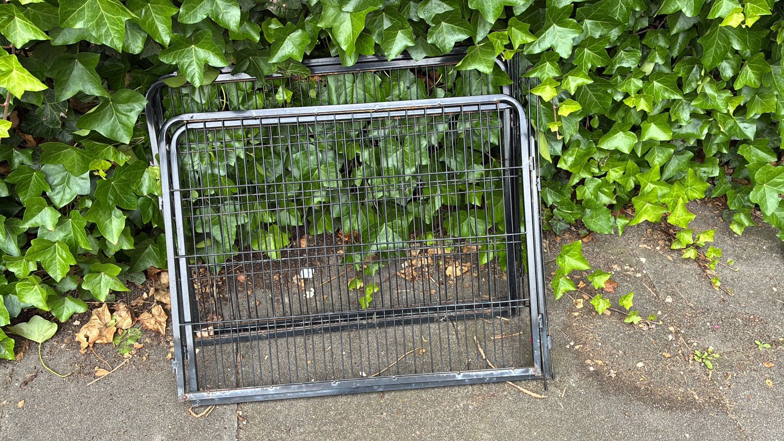 Bench puppy, Dieren en Toebehoren, Hondenhokken, Ophalen, Zo goed als nieuw, 110 cm of meer, Minder dan 65 cm