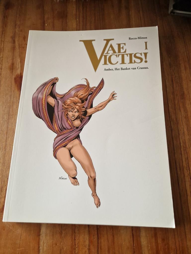 Vae Victis! Deel 1 & 2 &15- Rocca-Mitton stripboeken, Meerdere stripboeken, Ophalen of Verzenden, Gelezen, Rocca-Mitton