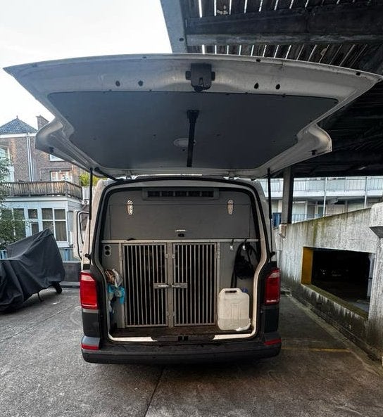 Volkswagen Transporter T6 2.0 TDI DSG | Hondenauto | Dakvan, Auto's, Stof, Volkswagen, Wit, Origineel Nederlands