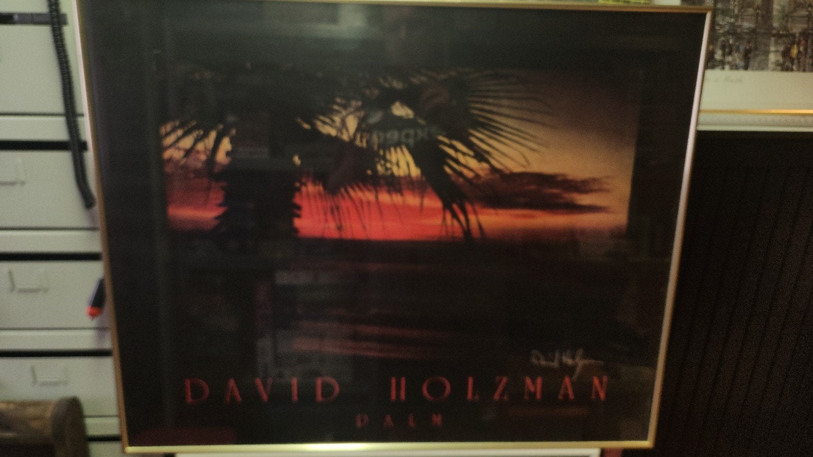 David Holzman 'Palm' Ingelijste Print, Ophalen, Gebruikt, 50 tot 75 cm, Print
