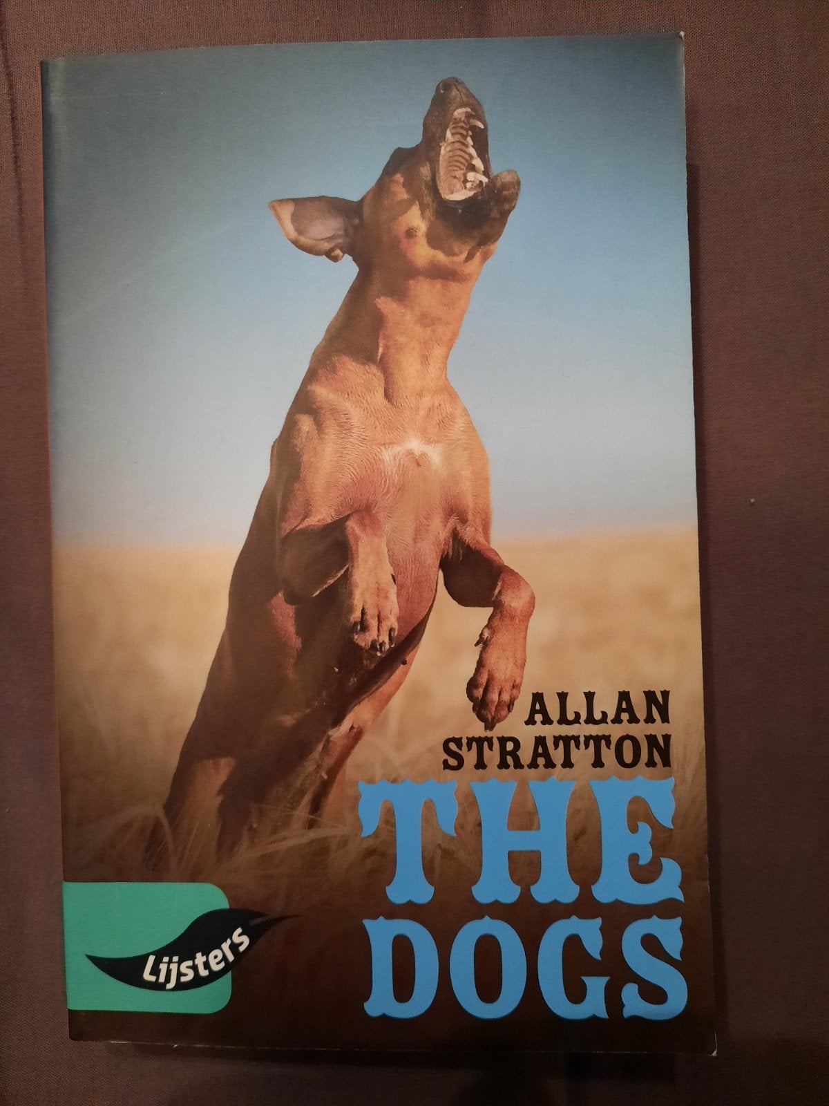 Allan Stratton - The Dogs, Ophalen of Verzenden, Zo goed als nieuw, Allan Stratton