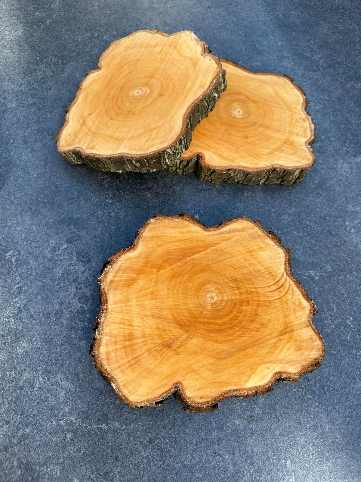Rustieke Boomstamschijf 22cm, Ophalen, Hout, Nieuw, Landelijk