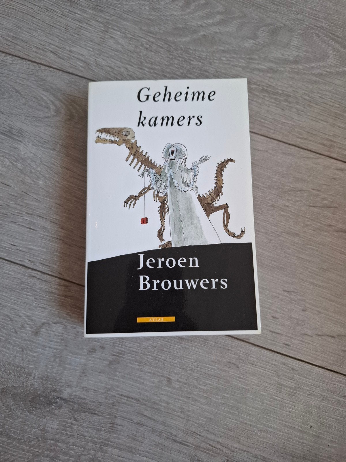 Geheime kamers - Jeroen Brouwers, Ophalen of Verzenden, Zo goed als nieuw, Jeroen Brouwers