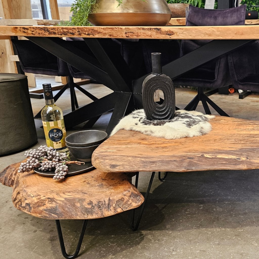 Salontafel | Echte eyecatcher | Boomstamtafel | Salontafels, 100 tot 150 cm, Nieuw, Landelijk, industrieel en rustiek, Overige vormen