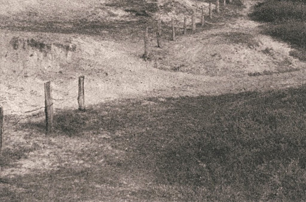 700375	Domburg	Duinen met Bosch Z Nette kaart onbeschreven, Ophalen of Verzenden, Voor 1920, Ongelopen, Zeeland