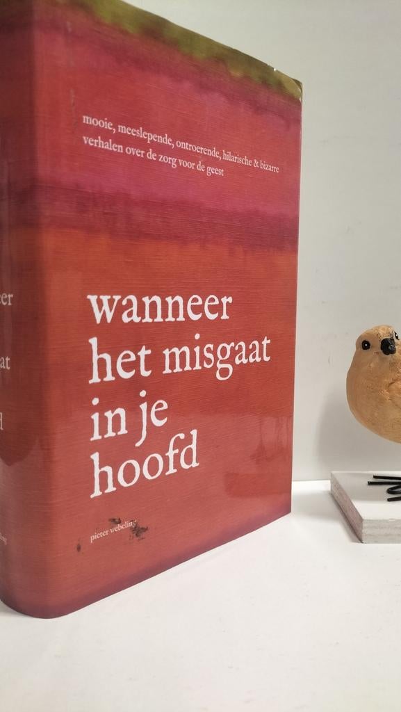 Webeling, Pieter; Wanneer het misgaat in je hoofd, Boeken, Ophalen of Verzenden, Gelezen