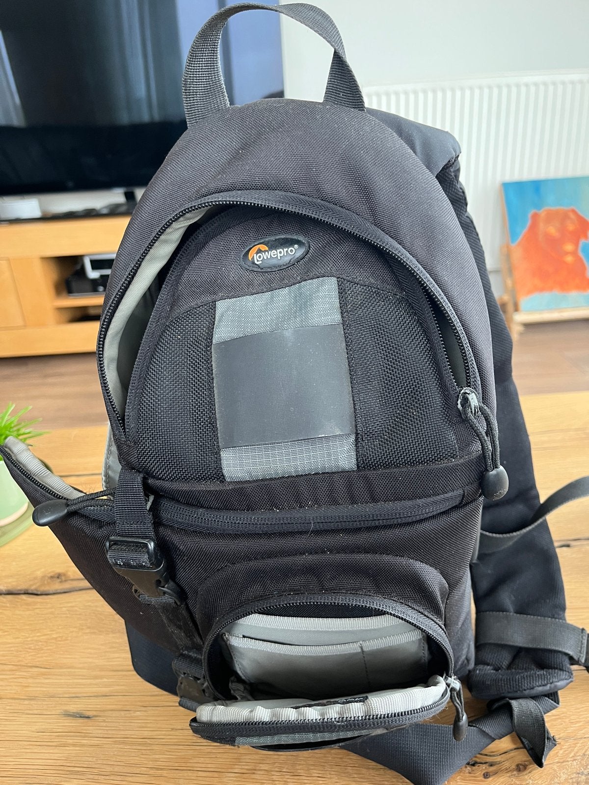 Lowepro Rugtas voor Camera - Zwart, Gebruikt, Rugtas, Gevoerd, Ophalen of Verzenden, Zwart