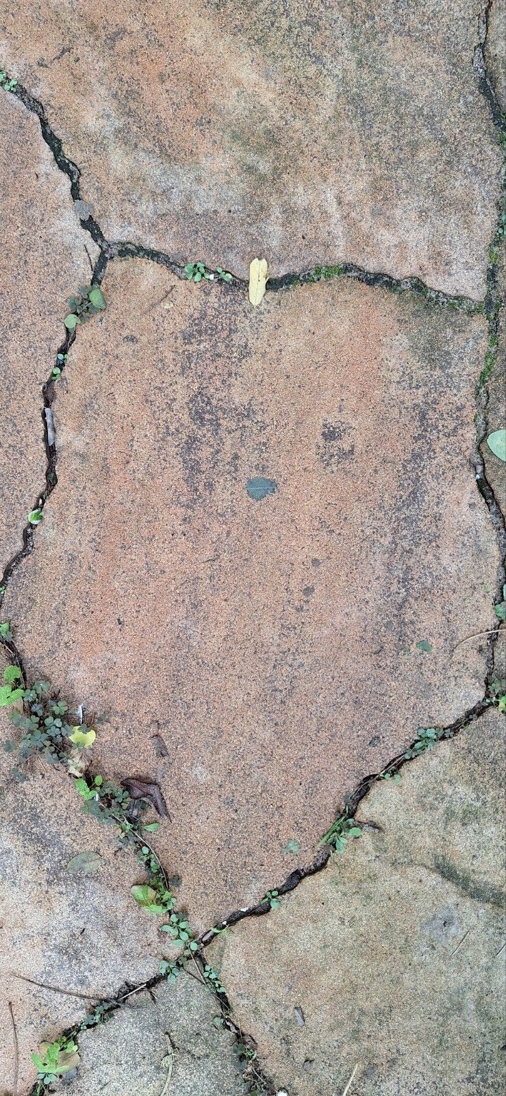 Tuintegels, Tuin en Terras, Ophalen, Gebruikt, 10 m² of meer, Beton