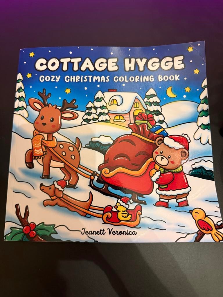 Cottage Hygge Coole Kerst Kleurboek voor Kinderen, Ophalen of Verzenden, Nieuw, Non-fictie