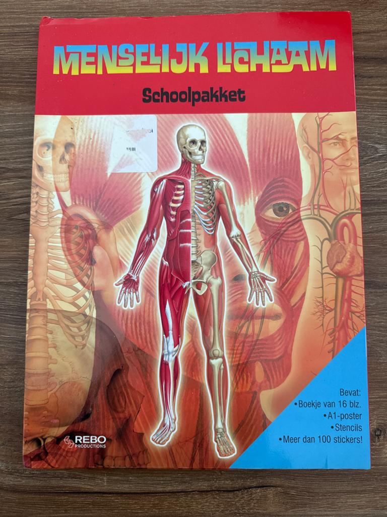 Menselijk Lichaam Schoolpakket - REBO Productions, Ophalen of Verzenden, Zo goed als nieuw