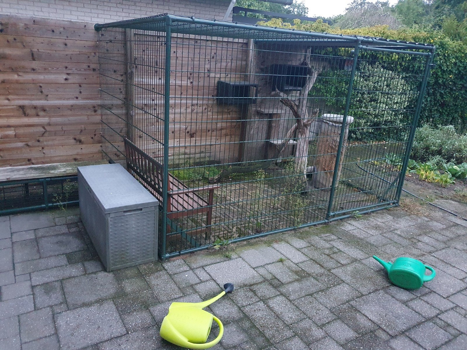 katten /poezen ren, Ophalen