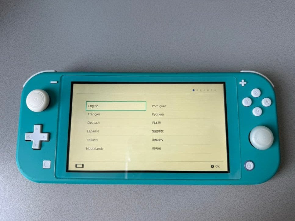 nintendo switch lite + hoes, Spelcomputers en Games, Verzenden, Grijs, Gebruikt