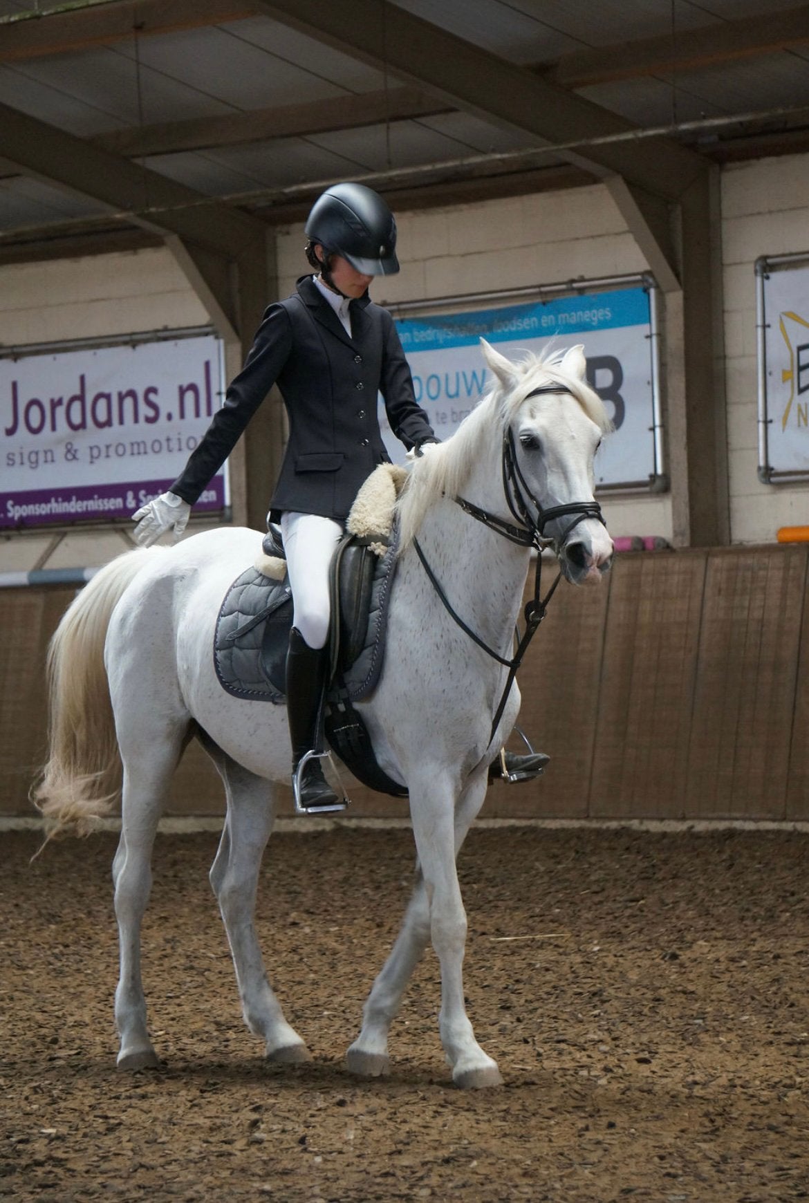 Verzorg pony gezocht!!, Dieren en Toebehoren, Ophalen of Verzenden, Zo goed als nieuw