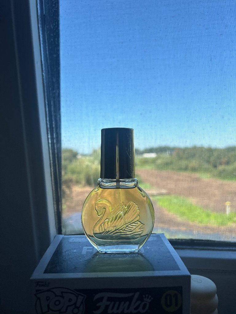 Een gloria Vanderbilt parfum, Ophalen of Verzenden, Nieuw