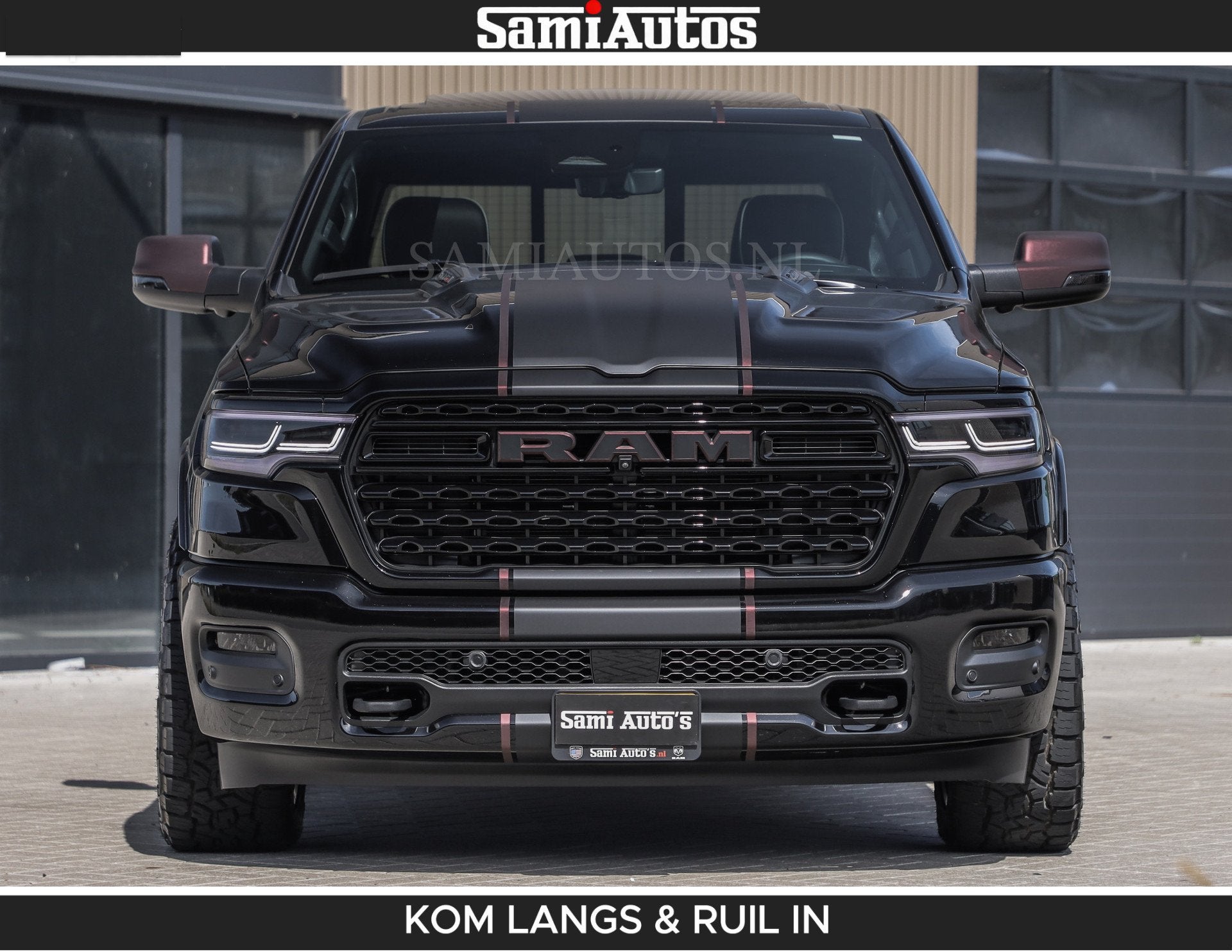 Dodge Overige Modellen