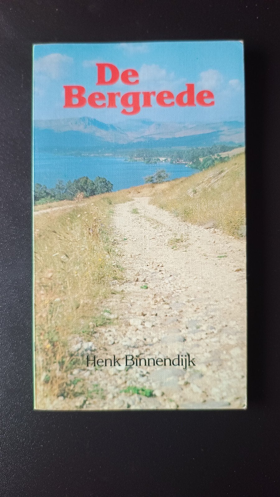 De Bergrede, Henk Binnendijk, Ophalen of Verzenden, Gelezen, Henk Binnendijk, Christendom | Protestants