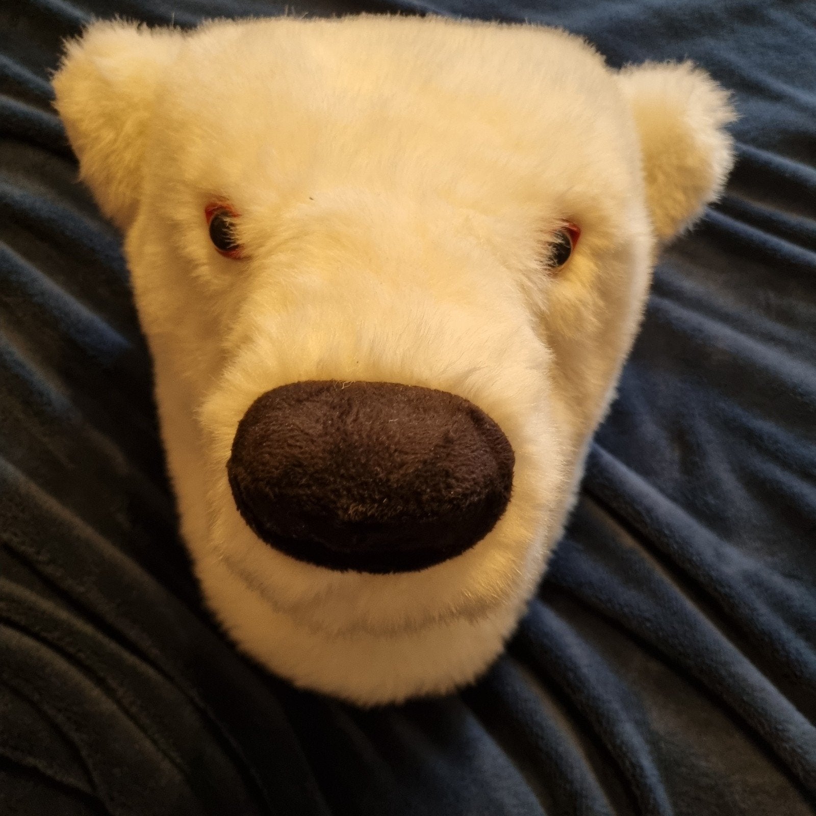 Ijsbeer knuffel voor aan de wand, Ophalen of Verzenden, Zo goed als nieuw, Wanddecoratie
