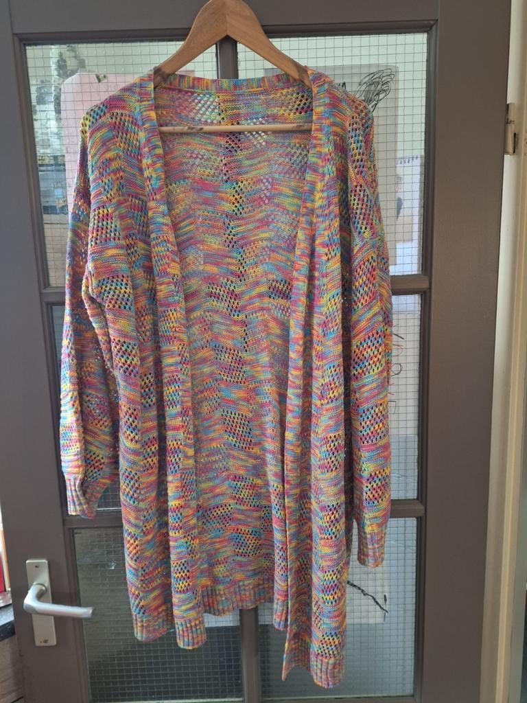 Nieuw gekleurd vest maat L Shein, Kleding | Dames, Truien en Vesten, Overige kleuren, Maat 42/44 (L), Nieuw, Ophalen of Verzenden