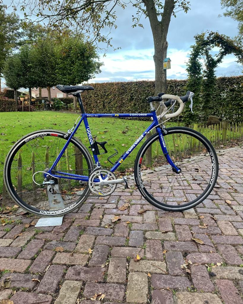 OPRUIMING! Concorde racefiets maat 54., Fietsen en Brommers, Fietsen | Racefietsen, 28 inch, Staal, Velgrem, Concorde