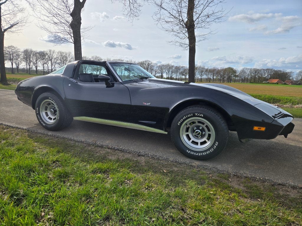 Chevrolet USA Corvette 5.7 Targa, foto 4