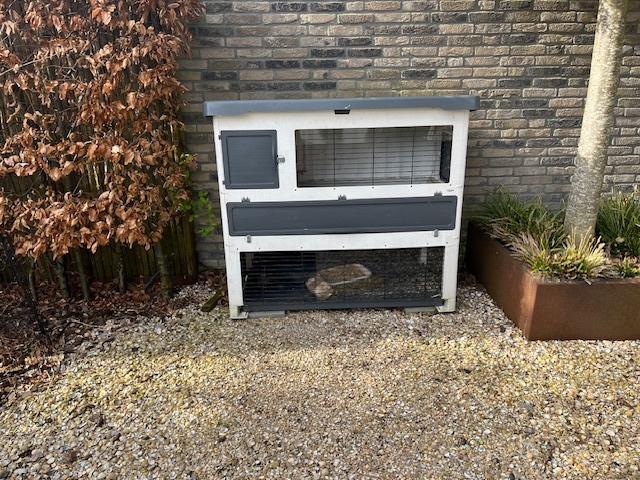 Konijnen oppas, Meerdere dieren, Middelgroot