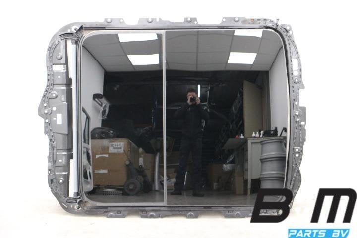 Panorama dak Audi Q4 89A877049