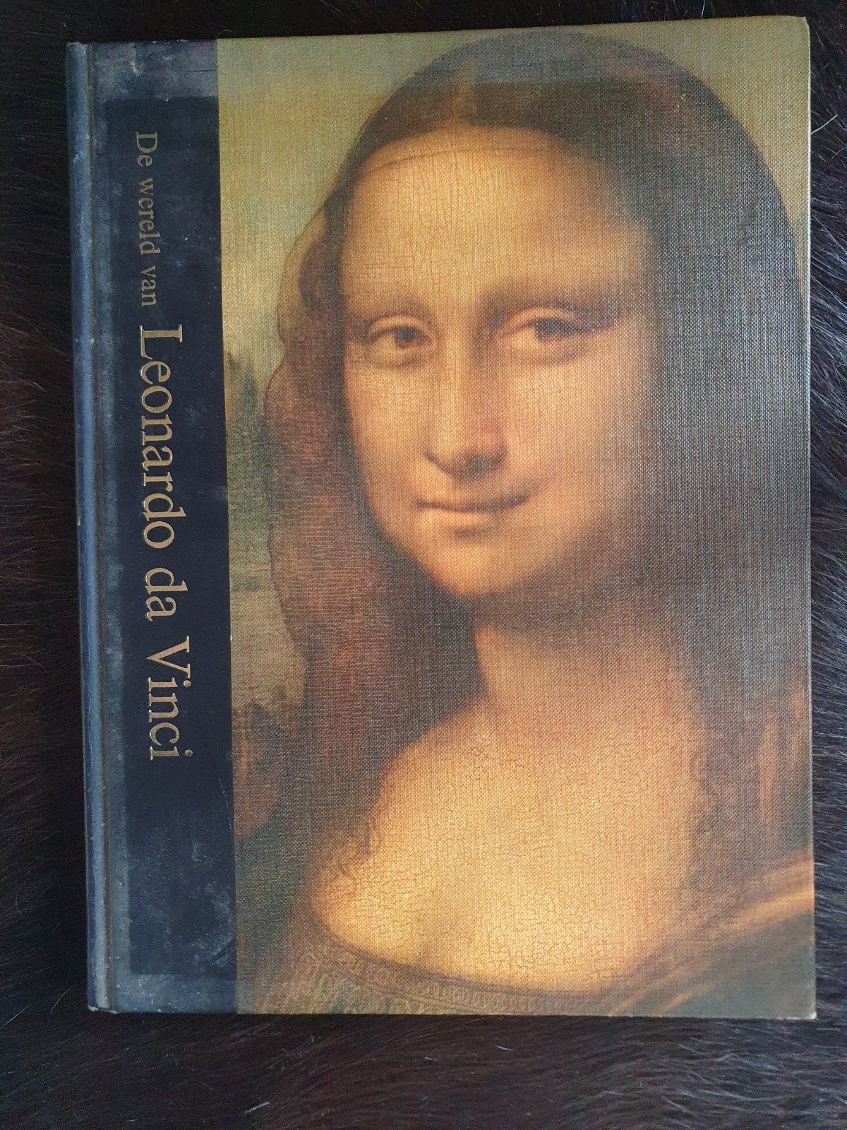 Leonardo da Vinci, Boeken, Verzenden, Zo goed als nieuw