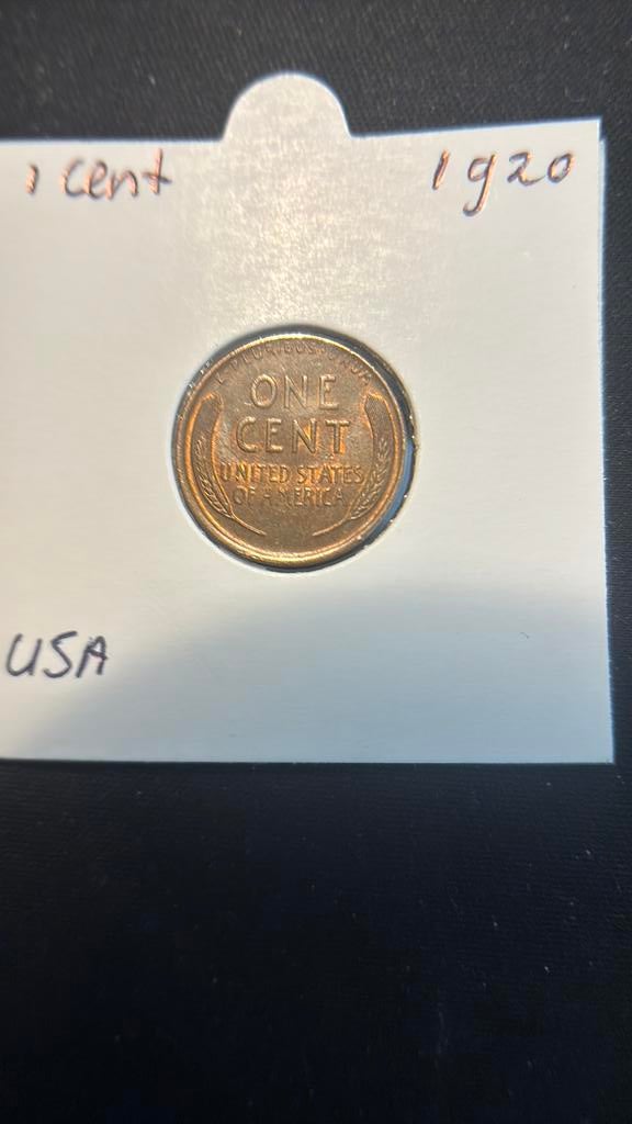 Prachtig 1 cent 1920 USA, Postzegels en Munten, Munten | Amerika, Ophalen of Verzenden, Noord-Amerika, Losse munt