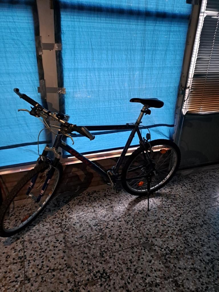 Mountainbike merk Giant, Fietsen en Brommers, Fietsen | Mountainbikes en ATB, Ophalen, Gebruikt, Heren, 45 tot 49 cm