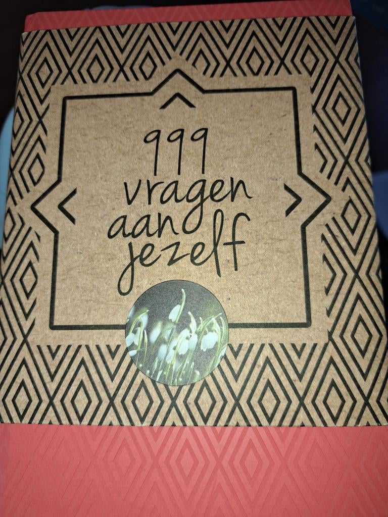 999 vragen aan jezelf boek, Boeken, Ophalen