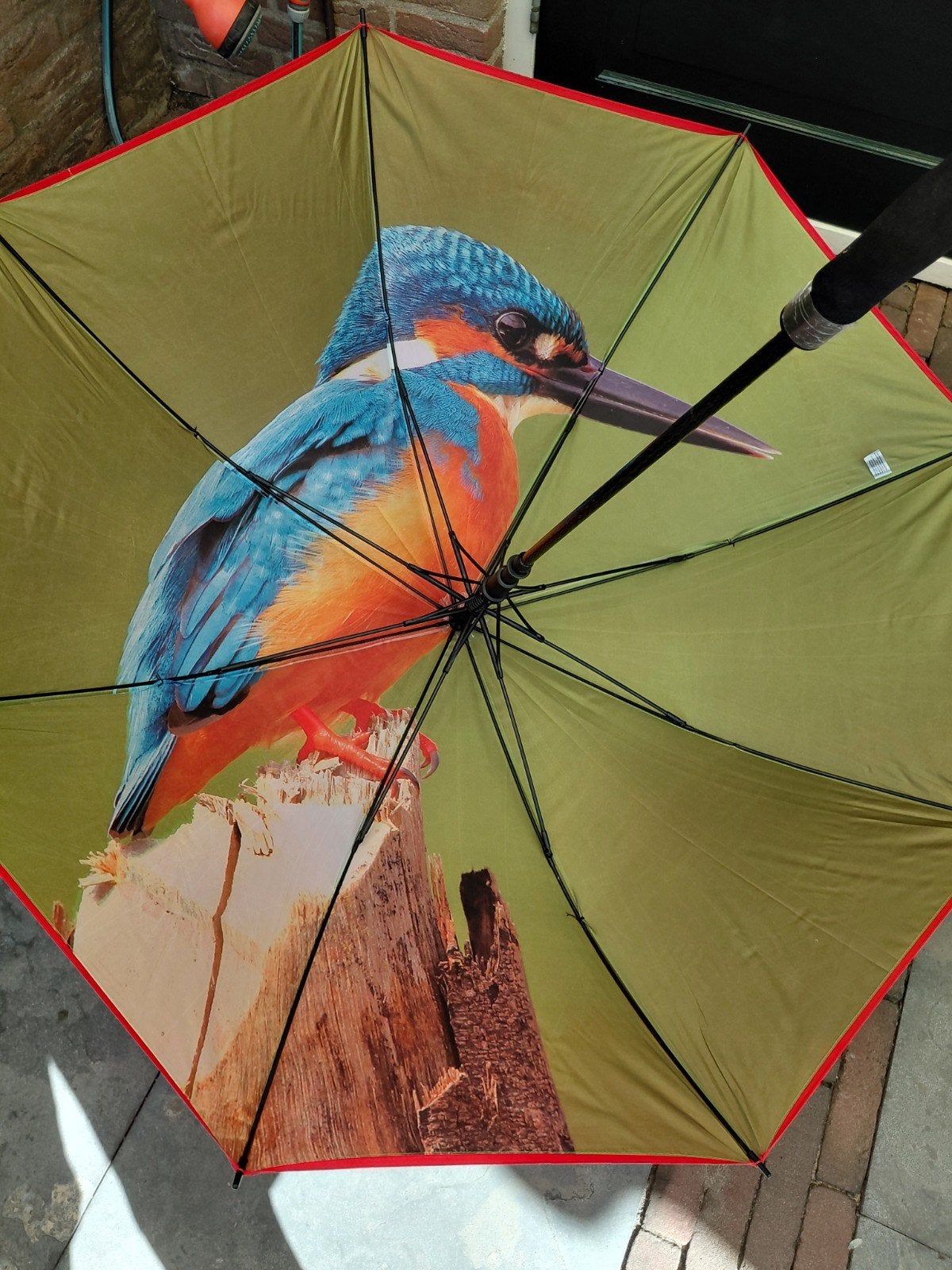 te koop nieuwe paraplu met ijsvogel, Sieraden, Tassen en Uiterlijk, Ophalen, Nieuw