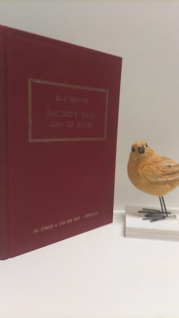 Fruytier, Ds. J.; Salomo’s raad aan de jeugd, Boeken, Ophalen of Verzenden, Gelezen, Christendom | Protestants