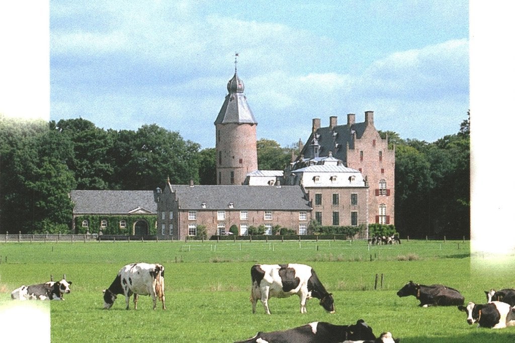 988481	Dalfsen	80+ Kasteel	Rechteren Ov	Gelopen met  zegel, Ophalen of Verzenden, 1980 tot heden, Gelopen, Overijssel