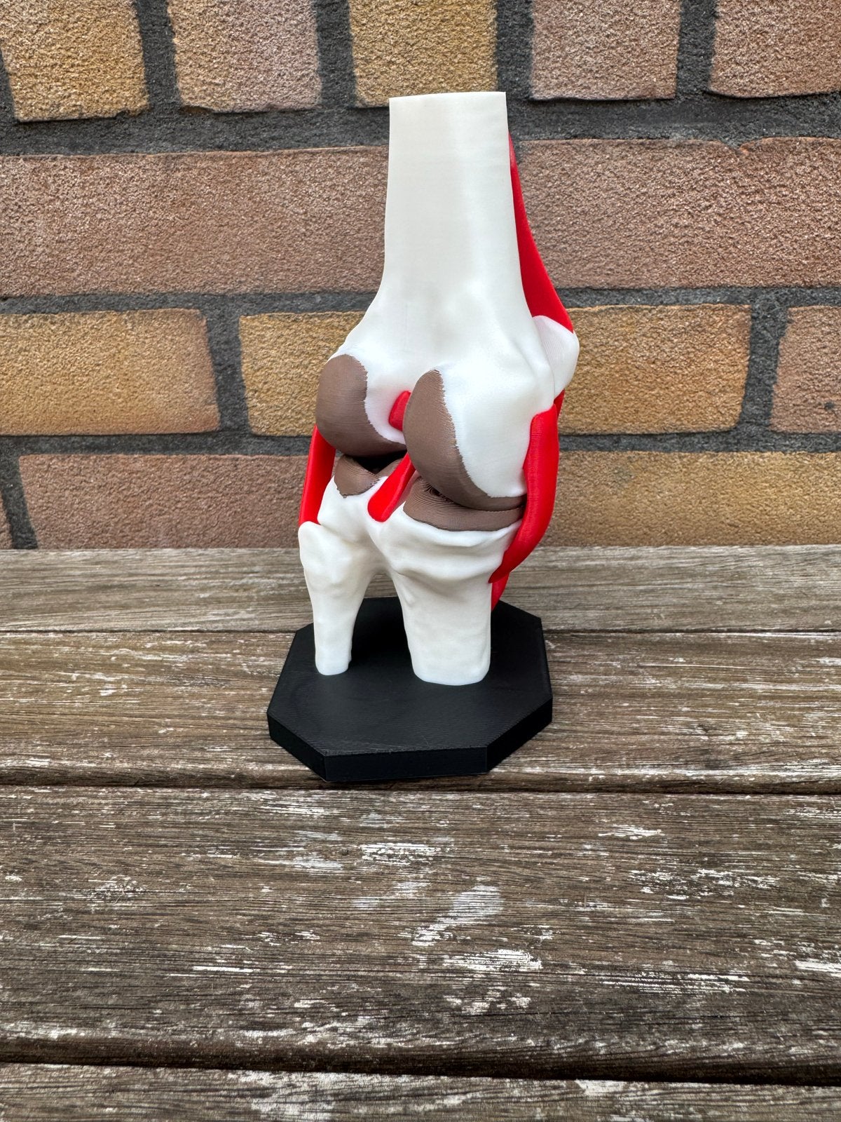 3D Geprint Kniegewricht Model - Anatomie Educatie, Ophalen of Verzenden, Nieuw, Overige typen