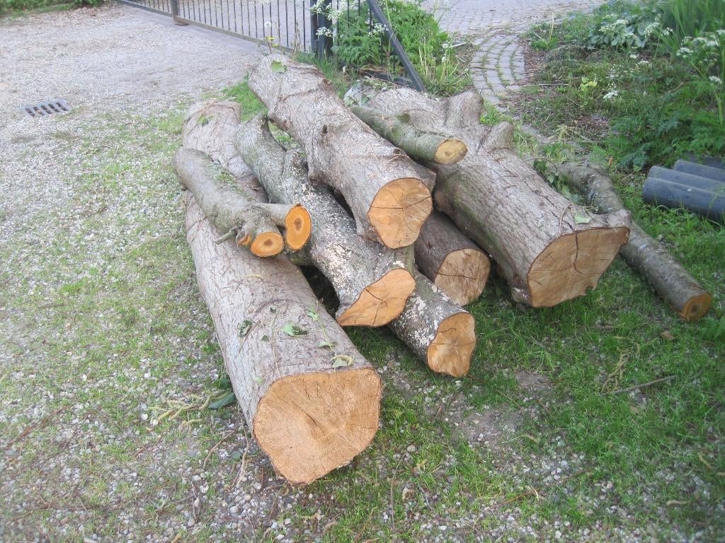 openhaardhout, Minder dan 3 m³, Ophalen, Elzenhout, Stammen