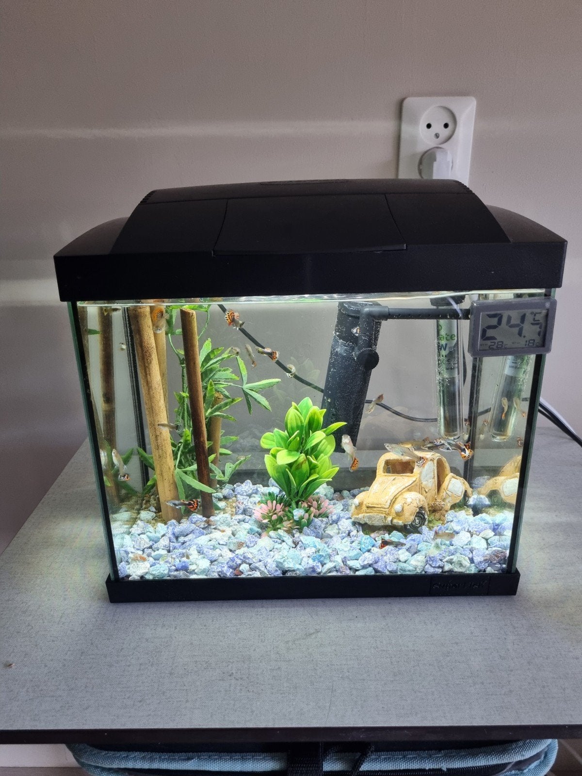 Superfish aquarium met prachtige guppies, Ophalen, Inclusief vissen, Leeg aquarium, Superfish
