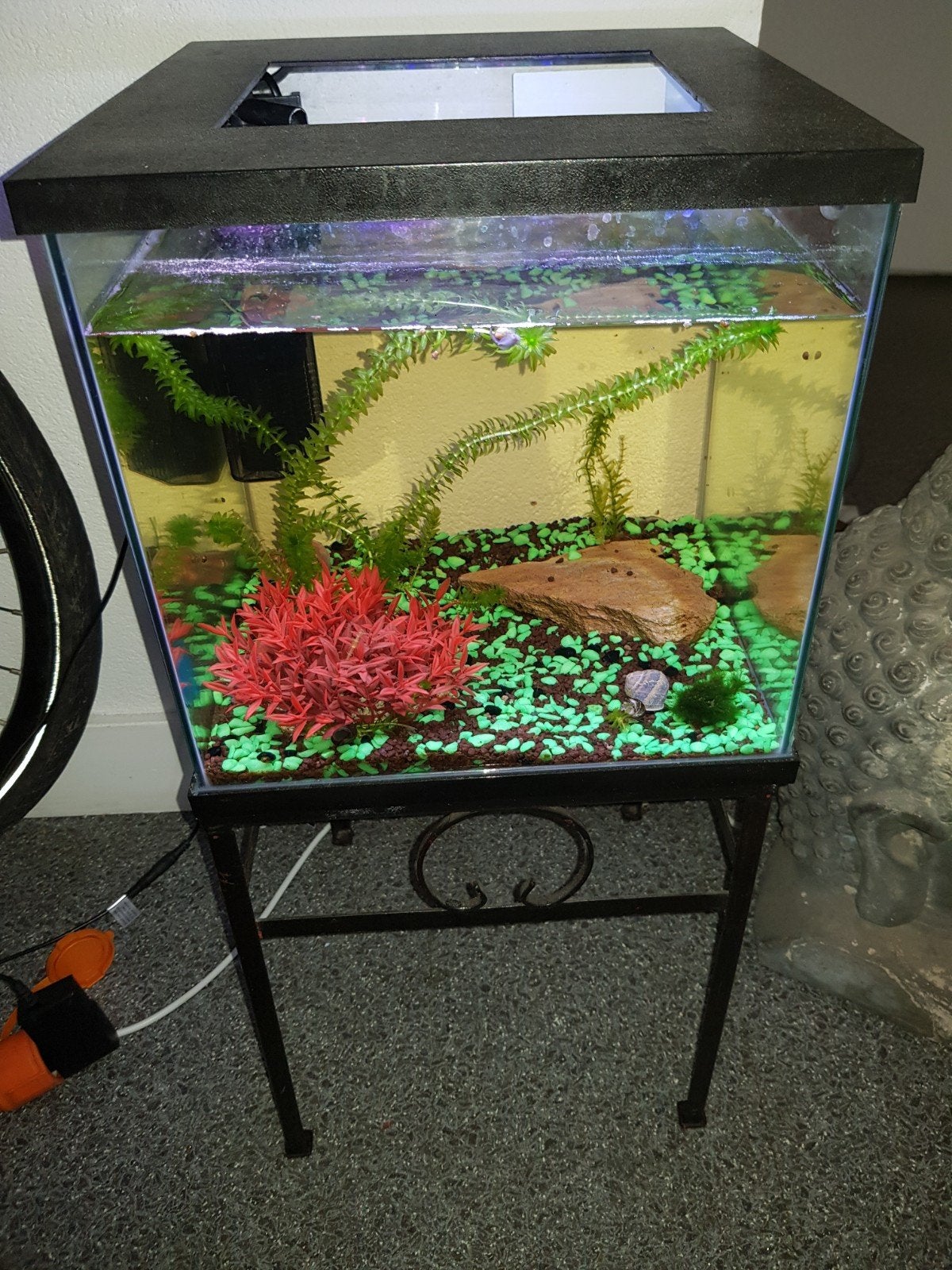Aquarium, Dieren en Toebehoren, Reptielen en Amfibieën | Toebehoren, Ophalen of Verzenden, Gebruikt