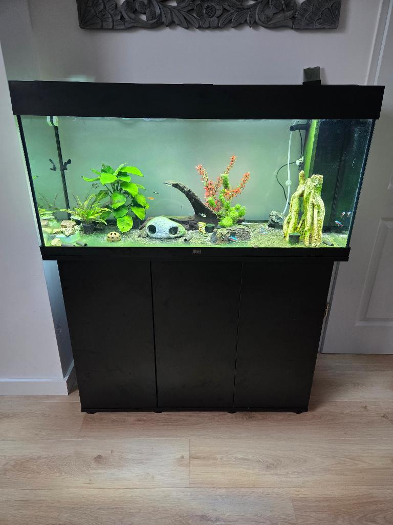 Aquarium Juwel RIO 180 Liter, Ophalen, Gebruikt, Gevuld zoetwateraquarium, Inclusief vissen
