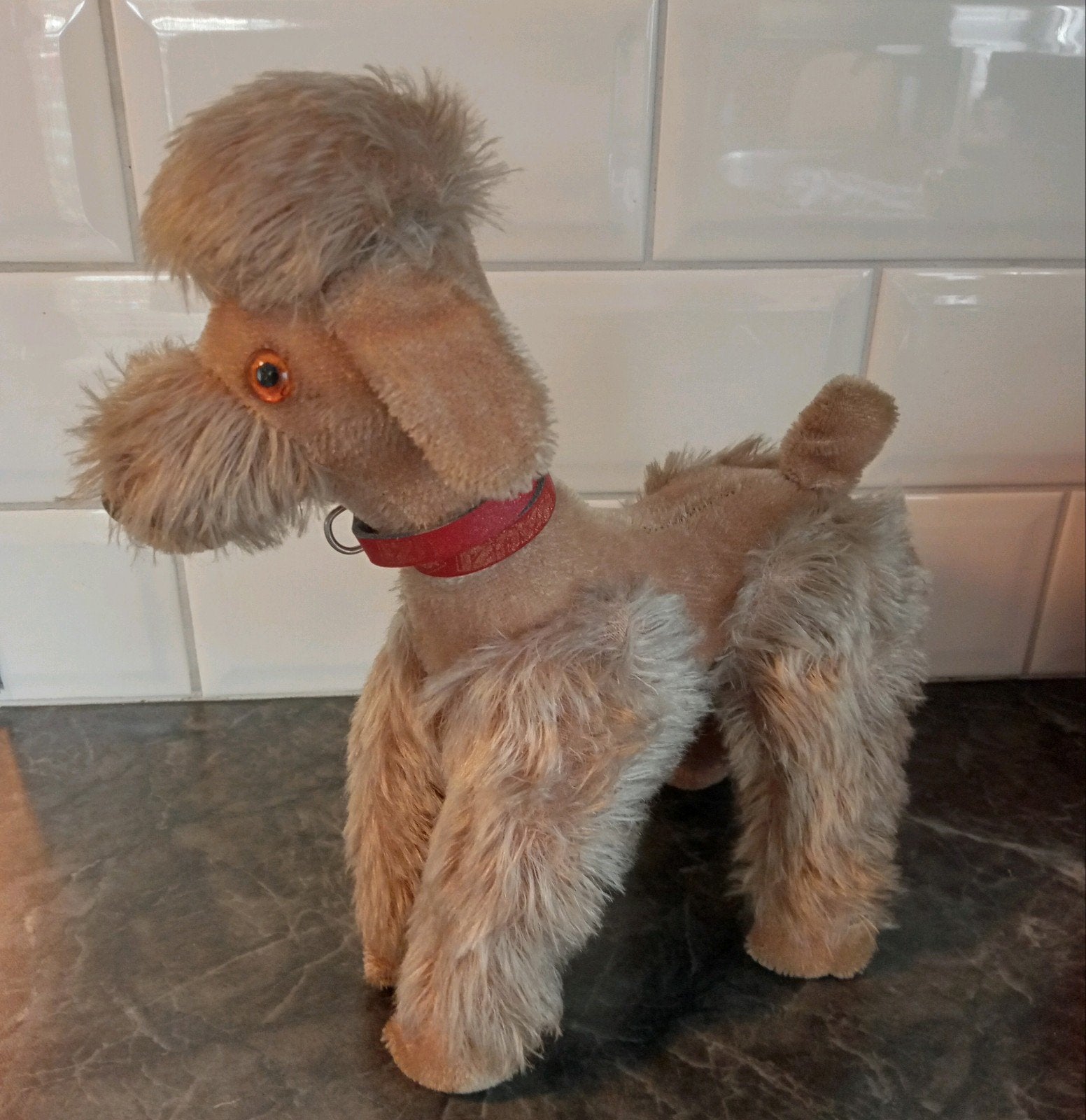 Vintage steiff Poedel Knuffel - Jaren '60, Ophalen