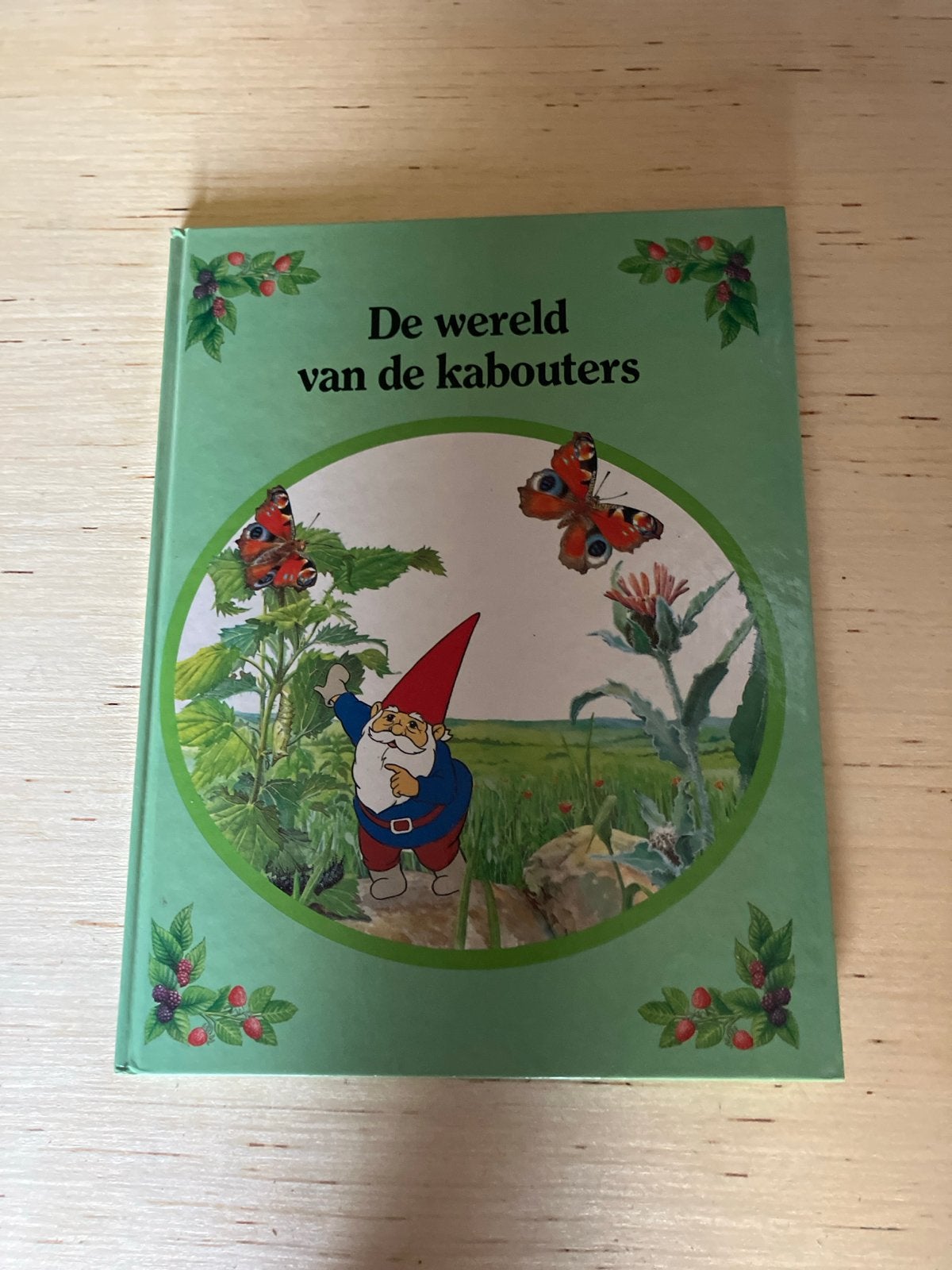 De wereld van de kabouters - Geïllustreerd kinderboek, Boeken, Ophalen of Verzenden, Gelezen, Sprookjes