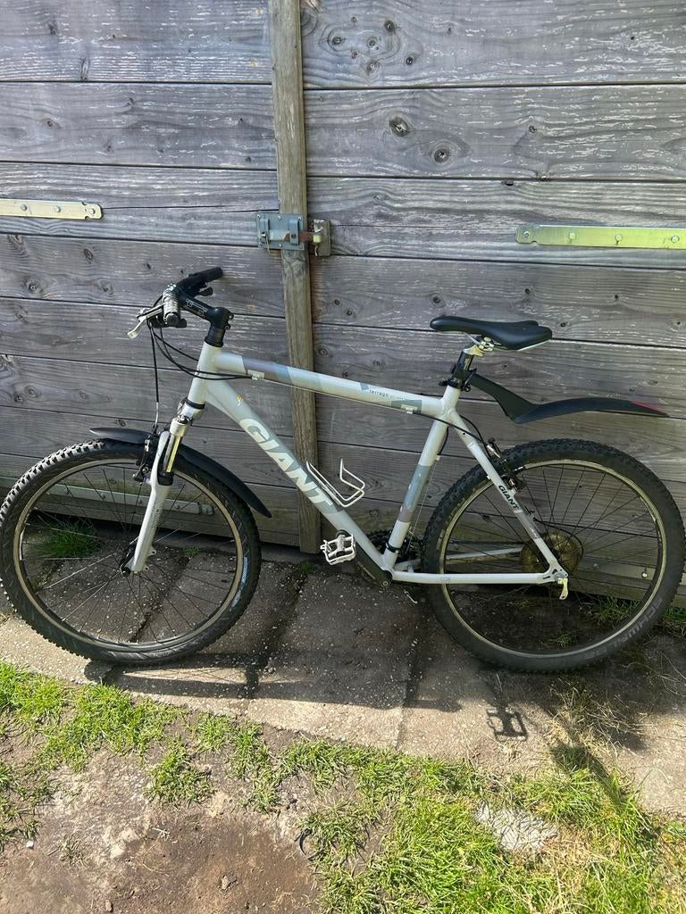 Giant Terrago Mountainbike, Fietsen en Brommers, Fietsen | Mountainbikes en ATB, Ophalen, Gebruikt, 57 cm of meer, Hardtail