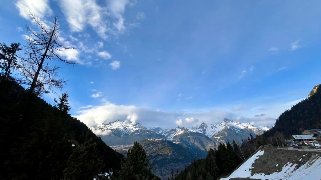 Carv ski coach korting, Sport en Fitness, Ophalen, Nieuw, Overige typen, Overige merken