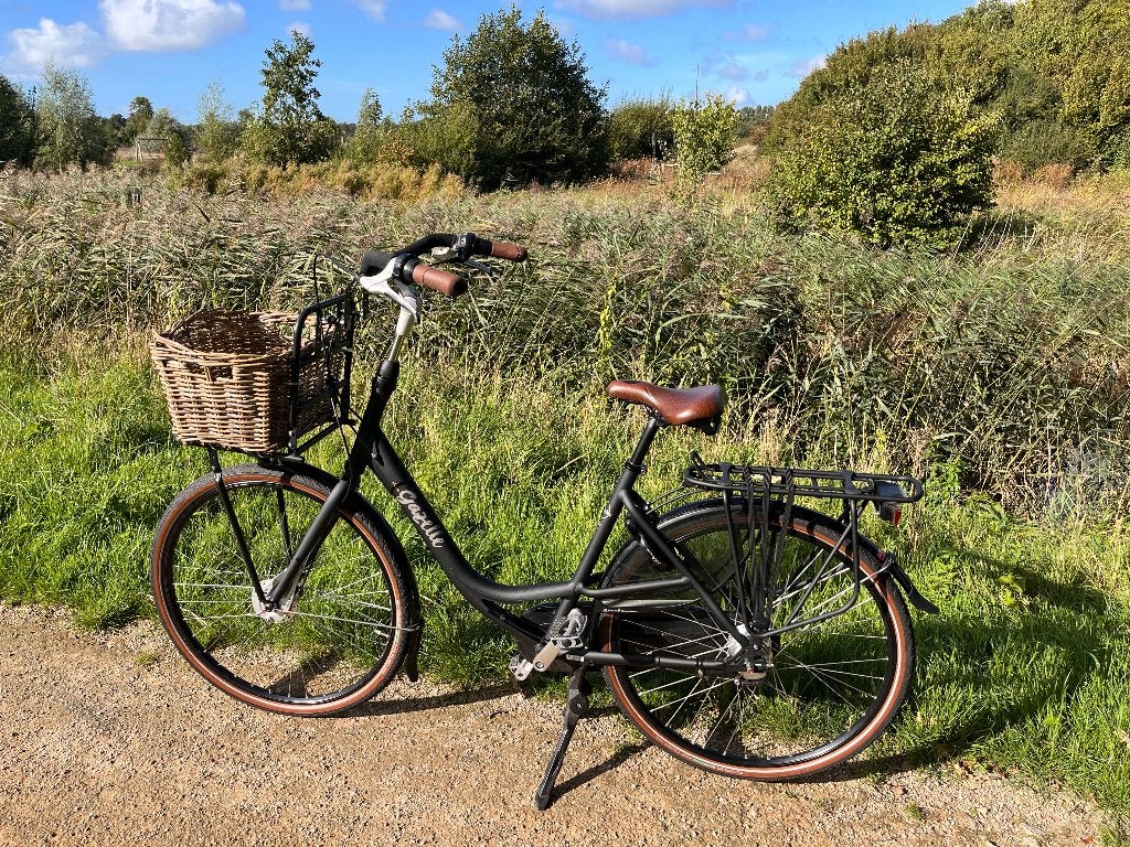 Gazelle Bloom damesfiets D53 zwart, (Extra) lage instap, Ophalen of Verzenden, Gazelle, Trommelrem