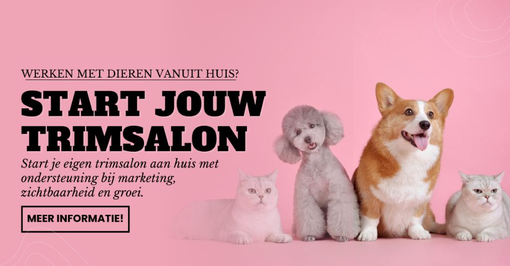 Droom jij van werken met katten en honden vanuit huis?, Starter, Overige niveaus, Geschikt als bijbaan, Freelance of Uitzendbasis
