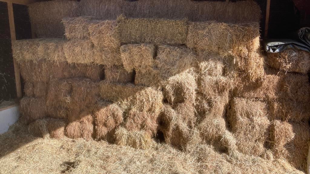 Hooi pakjes, Dieren en Toebehoren, Dierenvoeding, Ophalen, Vee