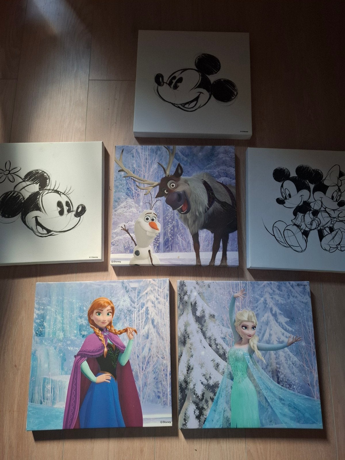 Diverse Canvas Schilderijtjes: Disney Mickey, Minnie, Frozen, Minder dan 50 cm, Oorspronkelijke maker, Ophalen of Verzenden, Zo goed als nieuw